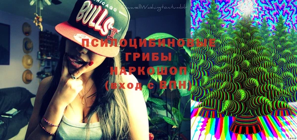эйфоретик Алексин