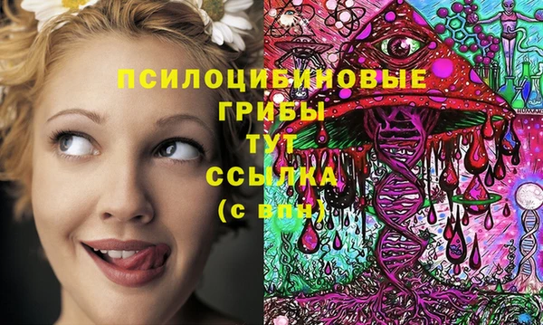 МДМА Алексеевка