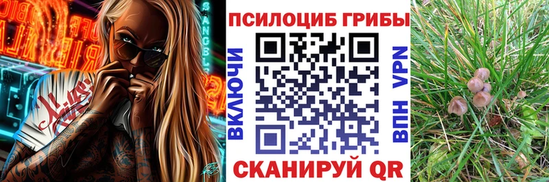 Псилоцибиновые грибы прущие грибы  наркота  Орлов 